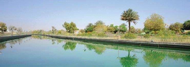 One To One Hotel & Resort Ain Al Faida Al Ain Buitenkant foto